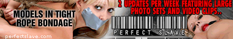 Perfect Slave