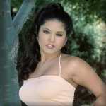 Sunny Snake Charmer Gallery 1